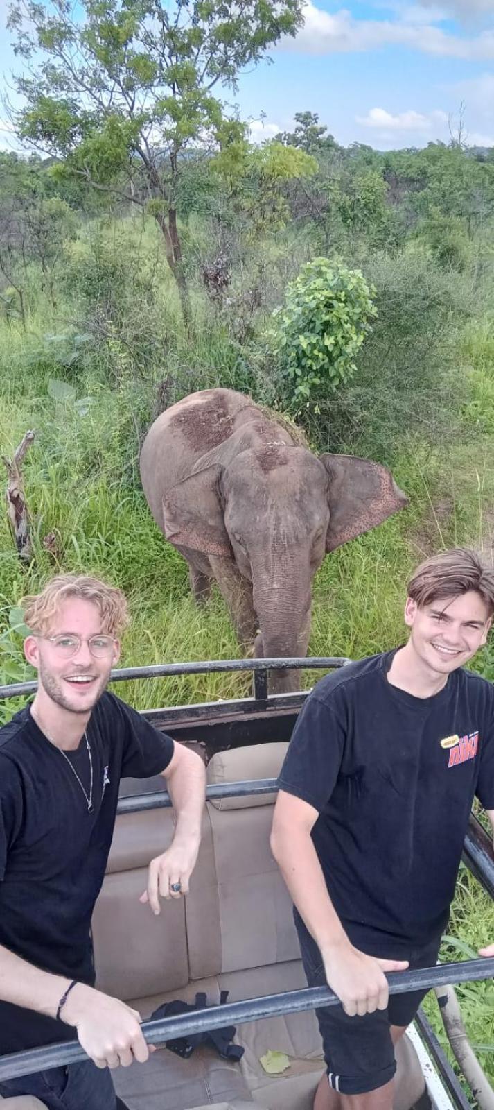 Elephant Safari Lodge Sigiriya Junction ฮาบารานา ภายนอก รูปภาพ