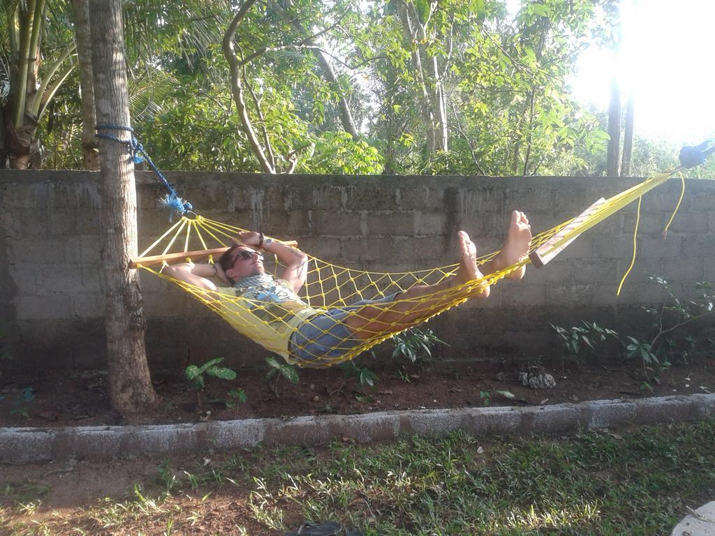 Elephant Safari Lodge Sigiriya Junction ฮาบารานา ภายนอก รูปภาพ